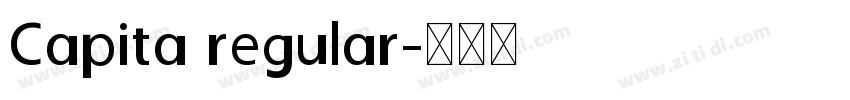 Capita regular字体转换